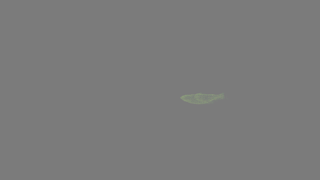 640_359gif 动态图 动图