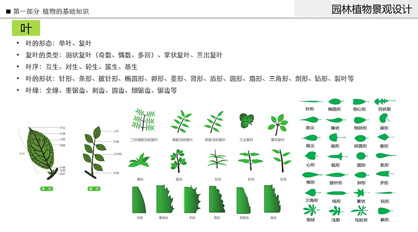 园林植物景观设计开云 开云体育官网教程(图1)