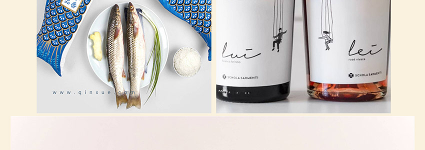 总监之路—包装设计教程