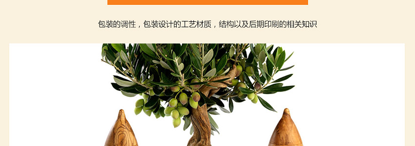 总监之路—包装设计教程