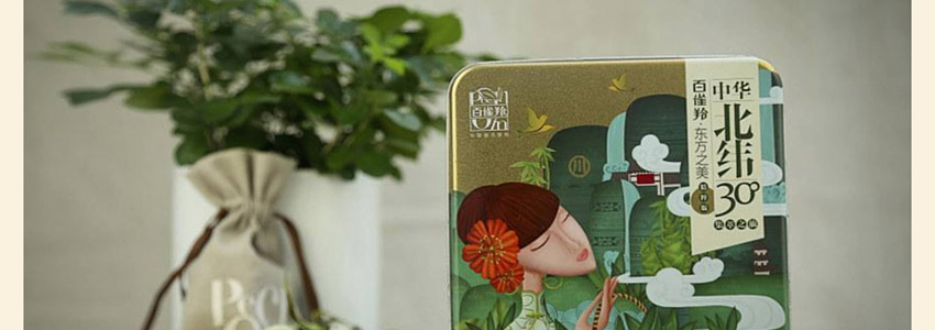 总监之路—包装设计教程