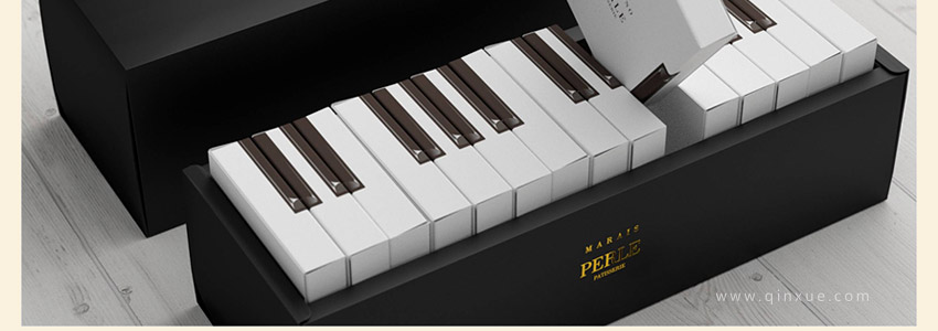 总监之路—包装设计教程