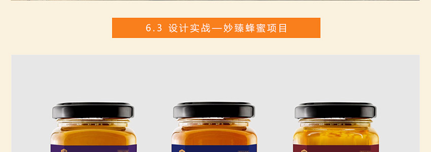 总监之路—包装设计教程